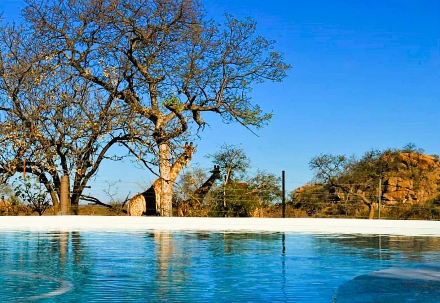Ngalali Retreat Otel Grietjie Game Reserve Dış mekan fotoğraf